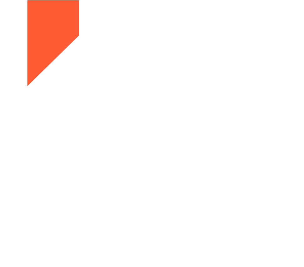 FVI Logo
